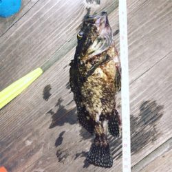 久々のmy fieldへ