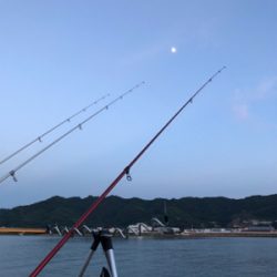 粘りの大キス狙い