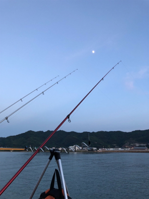 粘りの大キス狙い