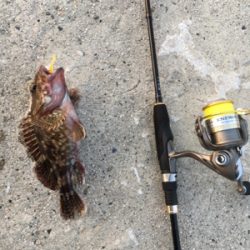 早朝ガシリング