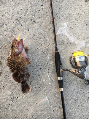 早朝ガシリング