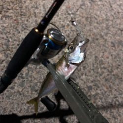 ナイトアジング