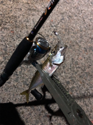 ナイトアジング