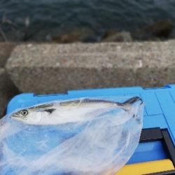 台風前の一発狙い