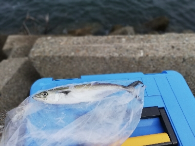 台風前の一発狙い