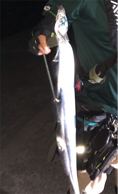 タチウオ狙いで8目釣り