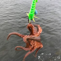 キター！って思ったけど