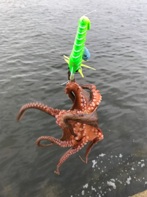 キター！って思ったけど