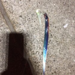 待ってました! F1.5!