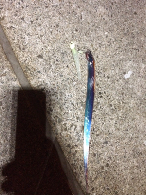 待ってました！ F1.5！