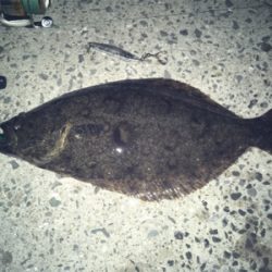 初‼︎ヒ〜ラ〜メ〜！