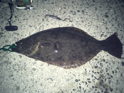 初‼︎ヒ〜ラ〜メ〜！