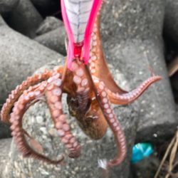 今日は、まぁまぁ！