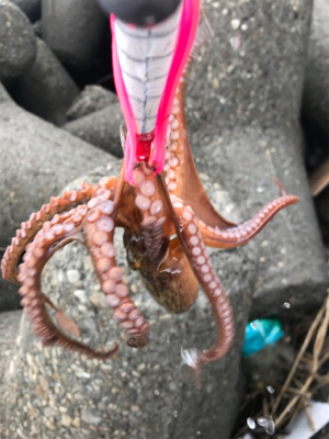 今日は、まぁまぁ！