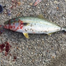 ゴミの中から！