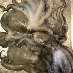 台風後期待して