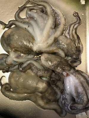 台風後期待して