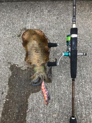 新しいリール墨付け完了❗&#…