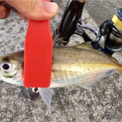 台風後の爆釣狙い