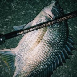 台風後チニング調査