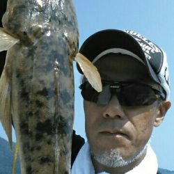 ボーズのがれました