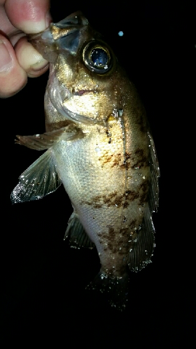 日が沈めば暑さはマシ