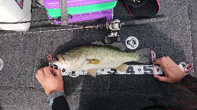 南湖 ボート釣行