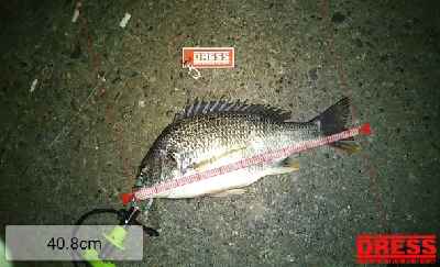 嵐の後は釣れるが釣り難い