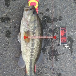 仕事終わりにドカーン