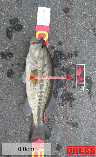 仕事終わりにドカーン