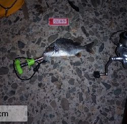 一投目のアタリでシャクったら穂先折れた…