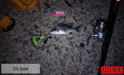 一投目のアタリでシャクったら穂先折れた…