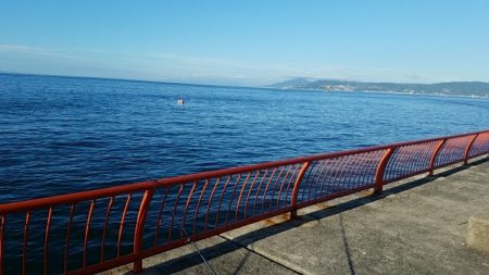 ツバスゲット♪