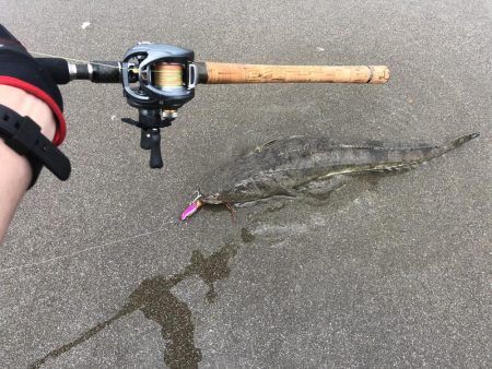 先週に続き今週も