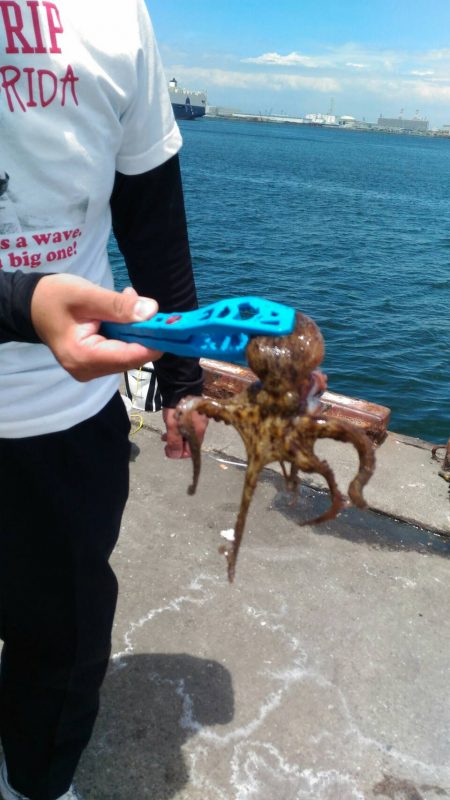 タコ　アジ　サバ