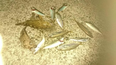 アジングサビキ