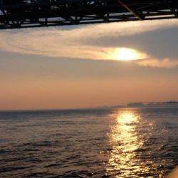 ハズレの日！？