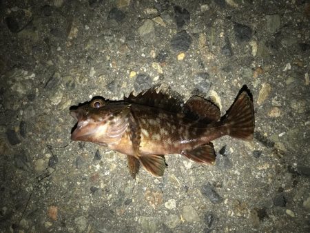 出勤前に。 part12