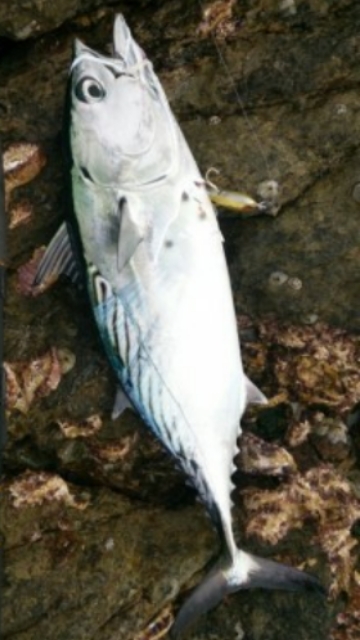 地元最高です！