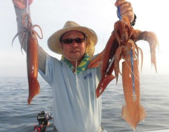 スルメイカ釣り