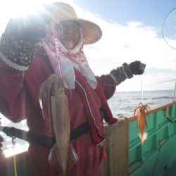 スルメイカ釣り