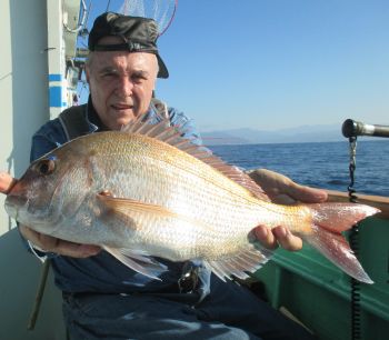 イサキ釣ってきました