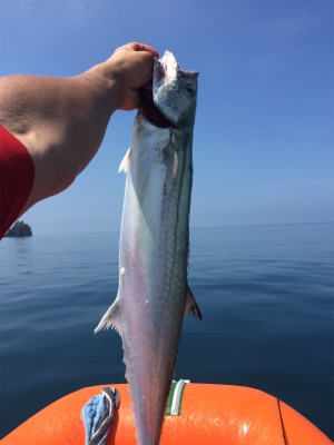 メーターオーバー！！