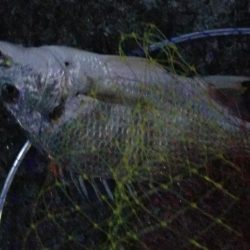 夕方に三時間！