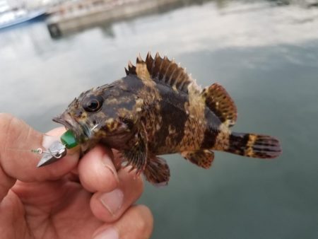 ライトワインド