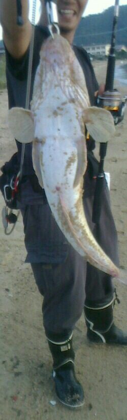 ﾗﾝｶｰﾏｺﾞﾁ