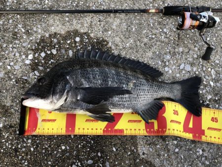 ライトタックル落とし込み