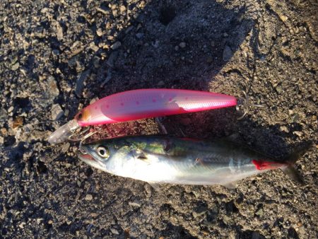 やったぜ‼️ベ…