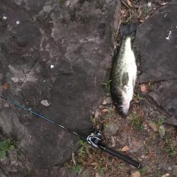 ラバージグで50UP