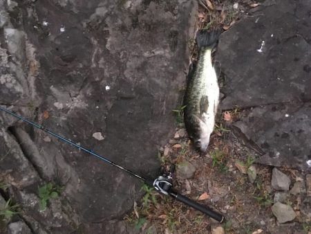 ラバージグで50UP